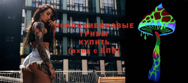 соль ск Абинск