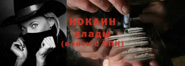 твердый Абаза