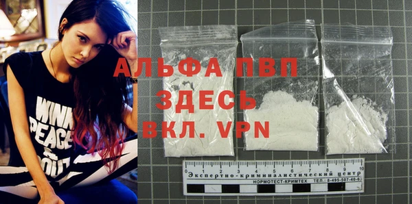 твердый Абаза