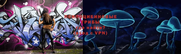 твердый Абаза