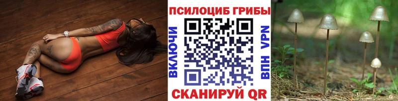 дарнет шоп  Костомукша  Галлюциногенные грибы Psilocybine cubensis 